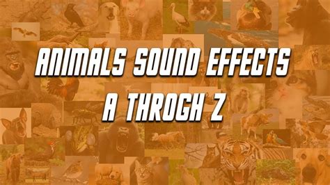 Animals sound effects A Throgh Z 72 Animal sound effects! | Sound effects, Animals