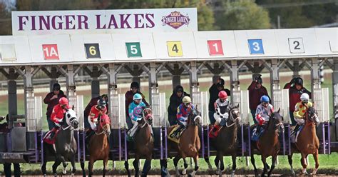 Finger Lakes Live Racing 2024 - agnola shanta