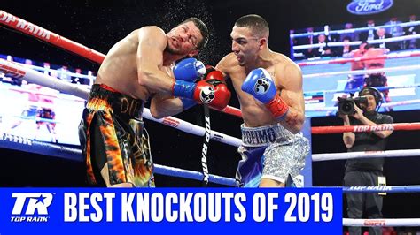 Best Knockouts Of 2019 Youtube