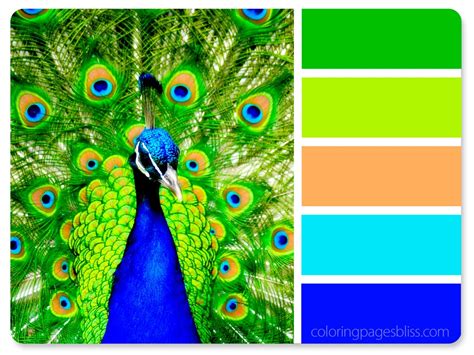 Color schemes, paints, palettes, combinations, gradients and color space conversions for the #005f69 hex color code. Nature Inspired Color Palettes