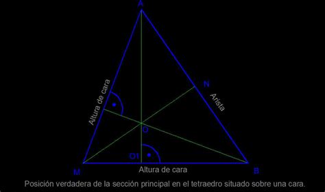 Poliedros La Sección Principal Del Tetraedro