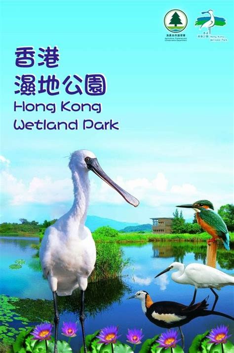 We did not find results for: Hong Kong Wetland park
