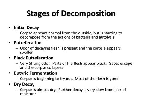 Embalmed Body Decomposition Timeline