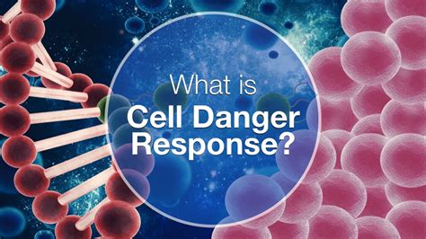 What is Cell Danger Response? Protecting the Human Body From Harm - Practitioner Training