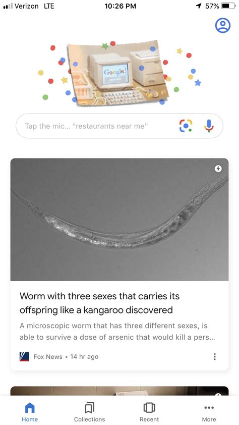 Worm With Three Sexes That Carries Its Offspring Like A Kangaroo