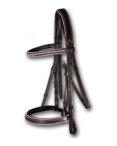 A Guide To Different Types Of Bridles Both English And Western