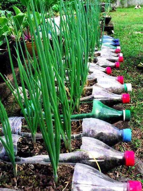 9 Diy Plastic Bottle Garden Projects Bottle Garden Recycled Garden