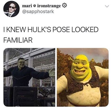If you loved the hulk i see this as an absolute win meme, you're going to love these Endgame referenced Shrek? I see this as an absolute win ...