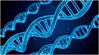 Biology Genome Genomics Picks