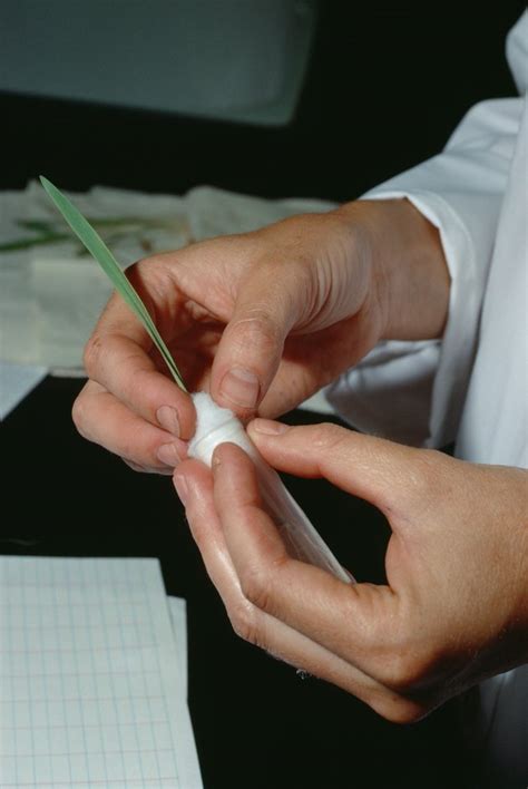 Washing it off will usually soften the glue and break the bond — if you do it getting a small amount of super glue on the skin isn't harmful to most people, says dr. Easy Way to Remove Super Glue From Your Fingers | Hunker
