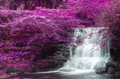 Trees Purple Waterfall Nature Hd Wallpaper Pxfuel