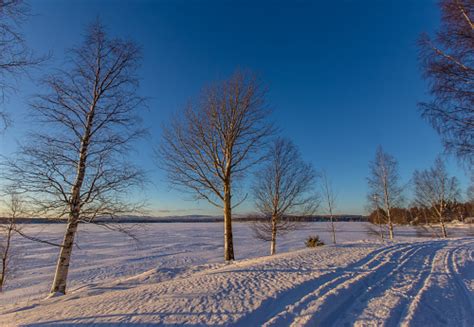 Winter Sunset Landscape From Sotkamo Finland Stock Photo Download