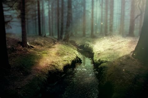 Download Water Stream Forest Nature Photography Manipulation 4k Ultra