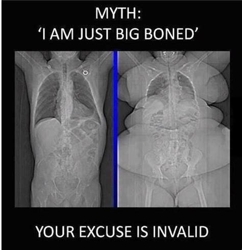 Big Boned Excuse Your Argument Is Invalid Know Your Meme