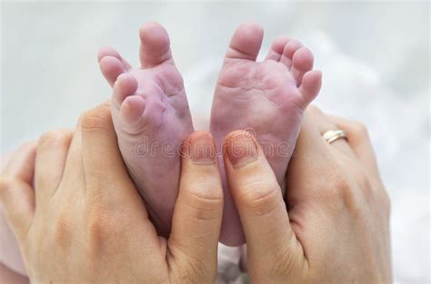 Baby Feet In Mother Hands Tiny Newborn Baby`s Feet On Female Heart