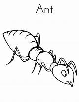 Coloring Pages Working Hard Insect Ant Cautious Being Food Hungry Finding Ants sketch template