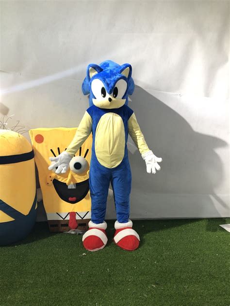 Custom Cartoon Sonic The Hedgehog Mascot Costume For Adult China