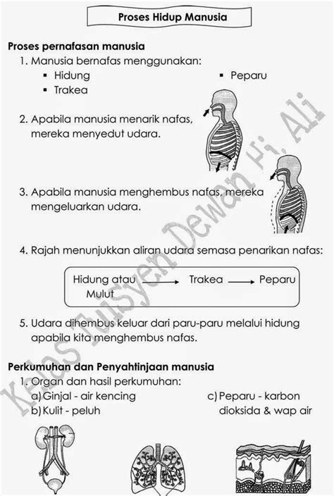 Tajuk Sains Tahun Nota Sains Tahun Unit Proses Hidup Manusia My XXX