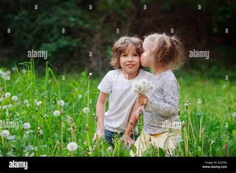 Little Girl With A Bouquet Of White Dandelions Kisses On The Cheek Boy