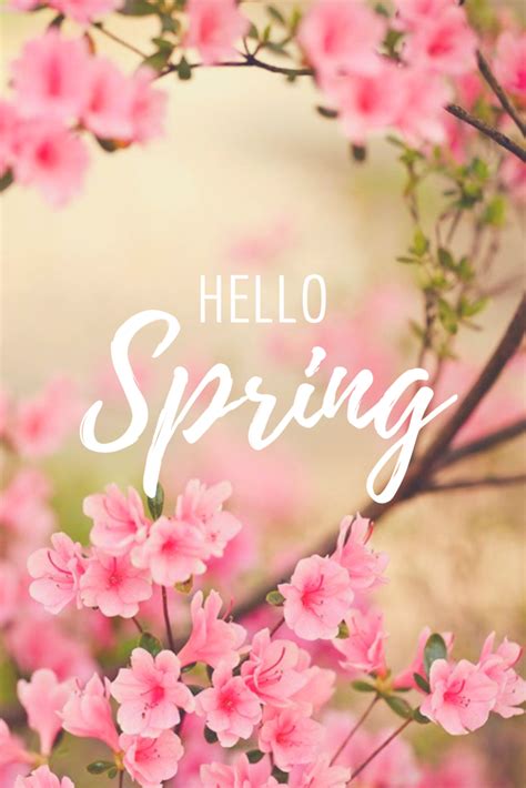 Hello Spring Phone Wallpaperdesktopdecal Frühling Wallpaper Flower