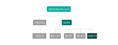 Bifidobacterium Lactis Hn019 Database