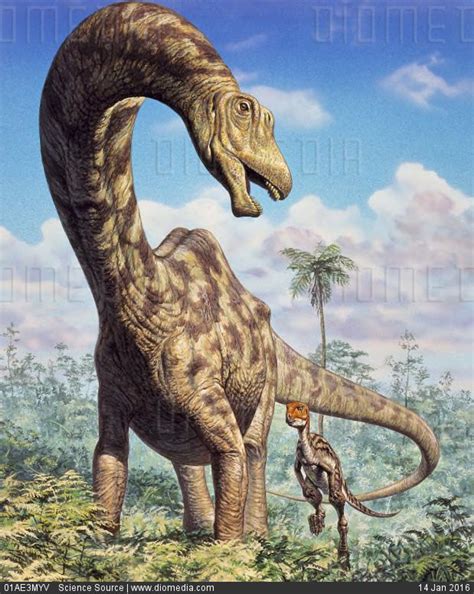 Stock Image Dinosaur Pictures Dinosaur Fossils Ancient