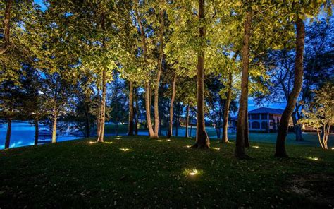 Recessed In Ground Well Lighting On Tree Grove Light Up Nashville