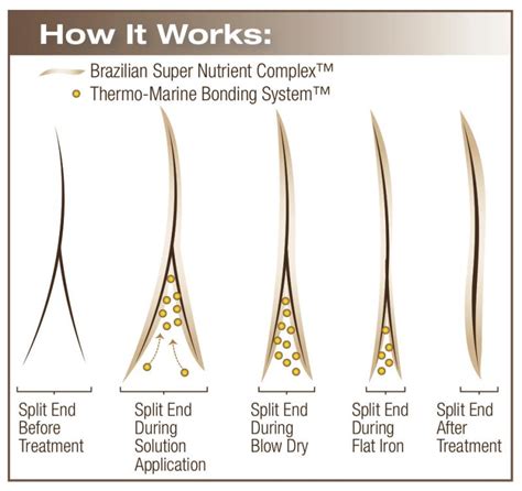 Bella Hair Designs - Split End Treatment Special