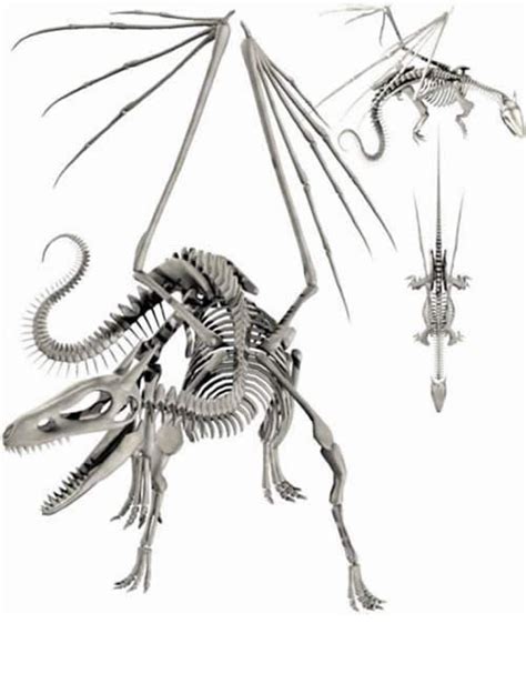 Dragon Skeleton Articulate Vertebrae Daz 3d
