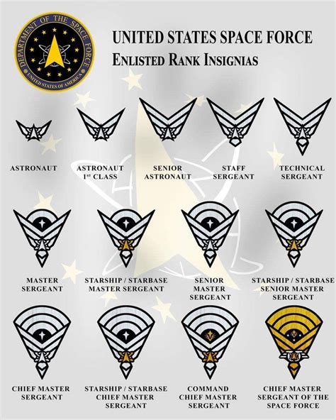 Space Force Ranks Rairforce