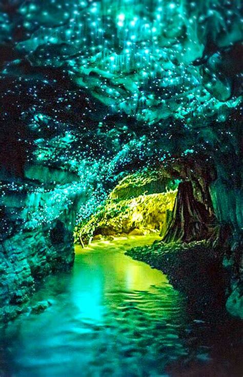 Waitomo Glowworm Caveotorohunganewzealand Beautiful World Beautiful