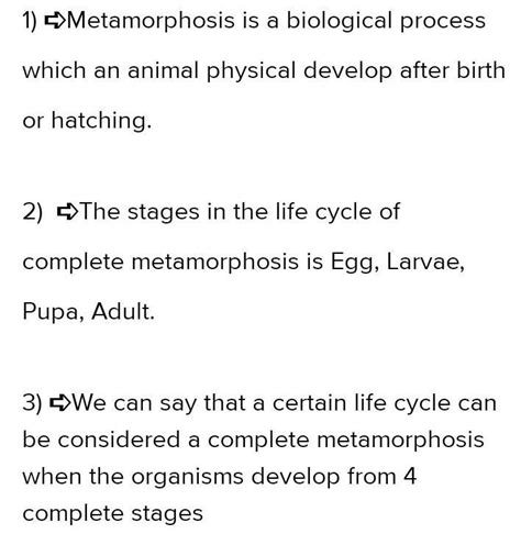 1 What Is Metamorphosis 2 What Are The Stages In The Life Cycle Of