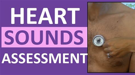 Auscultation Of Heart Sounds Assessing Heart Sounds Listening To