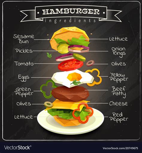 Hamburger Ingredients Infographics Royalty Free Vector Image