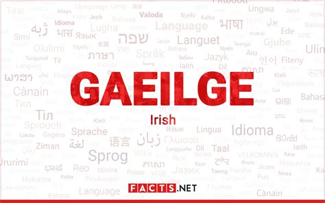 10 Astounding Facts About Irish Language
