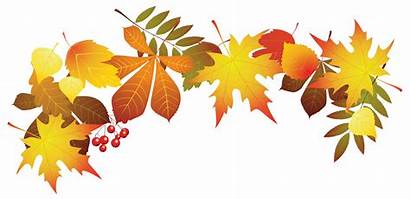 Autumn Foliage Clipart Clip Clipground Colours