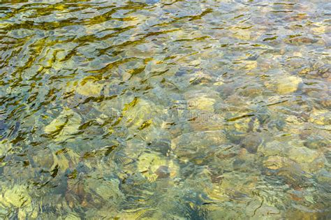 Rippling Waters In Shades Of Gold Stock Image Image Of River
