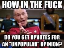 In Response To The Unpopular Opinion Puffin Meme Meme Guy