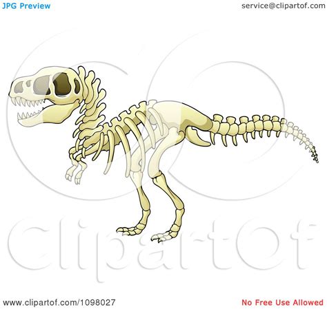 We did not find results for: Clipart Tyrannosaurus Rex Dinosaur Skeleton - Royalty Free ...