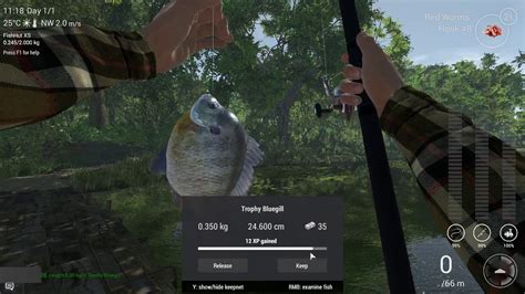 Maybe you would like to learn more about one of these? FISHING PLANET EP.1 - GUIDE - YouTube