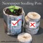 Easy Diy Newspaper Seedling Pots Puzzleheads Educational Products