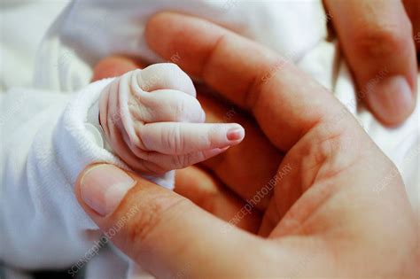 Newborn Babys Hand Stock Image M8150432 Science Photo Library