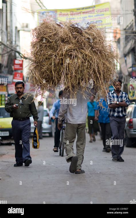 Back View Of An Indian Man Caring Hay On His Head Stock Photo Alamy
