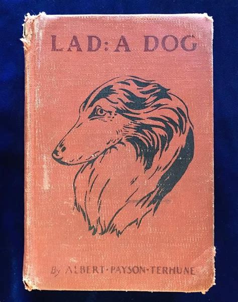 1949 Lad A Dog Collie Book By Albert Payson Terhune Etsy Dog Books