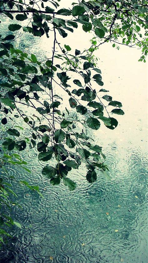 Rain Iphone Wallpaper Wallpapersafari