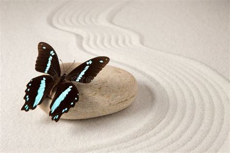 Zen Butterfly Stock Image Image Of Rock Harmony Space 67389917