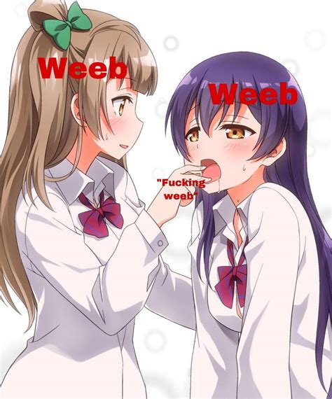 Download Anime Meme Weebs Wallpaper