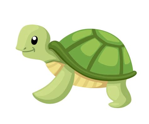 280 Cute Cartoon Turtles Walking Illustrations Royalty Free Vector