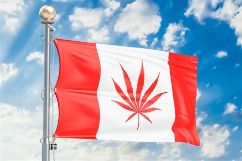 Yes, you can also buy stocks through a financial advisor. 3 Top Marijuana Stocks to Buy After Canada's Legalization ...