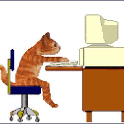 Best Cat Typing GIFs | Find the top GIF on Gfycat